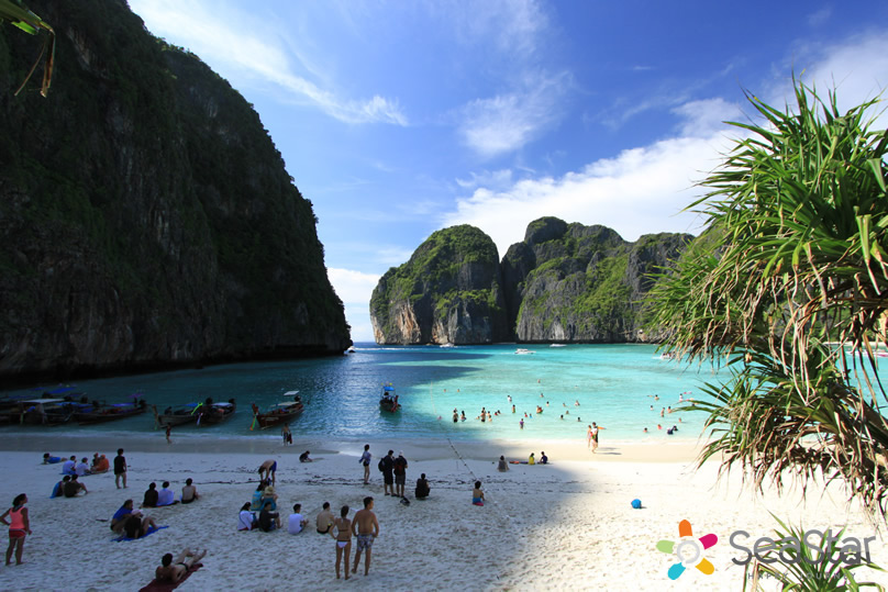 Phi Phi Island Day Tour Low Price