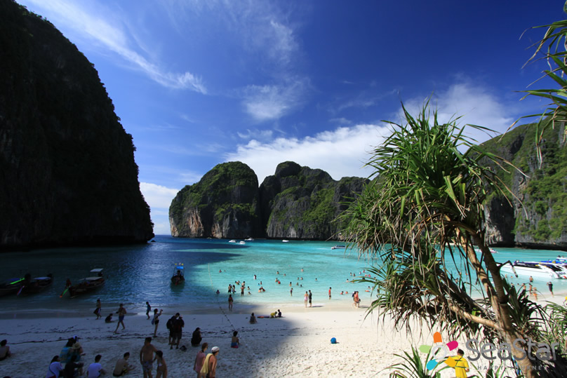 Phi Phi Island + Maya Bay + Bamboo Island Full Day Trip By Speedboat (From Phuket)